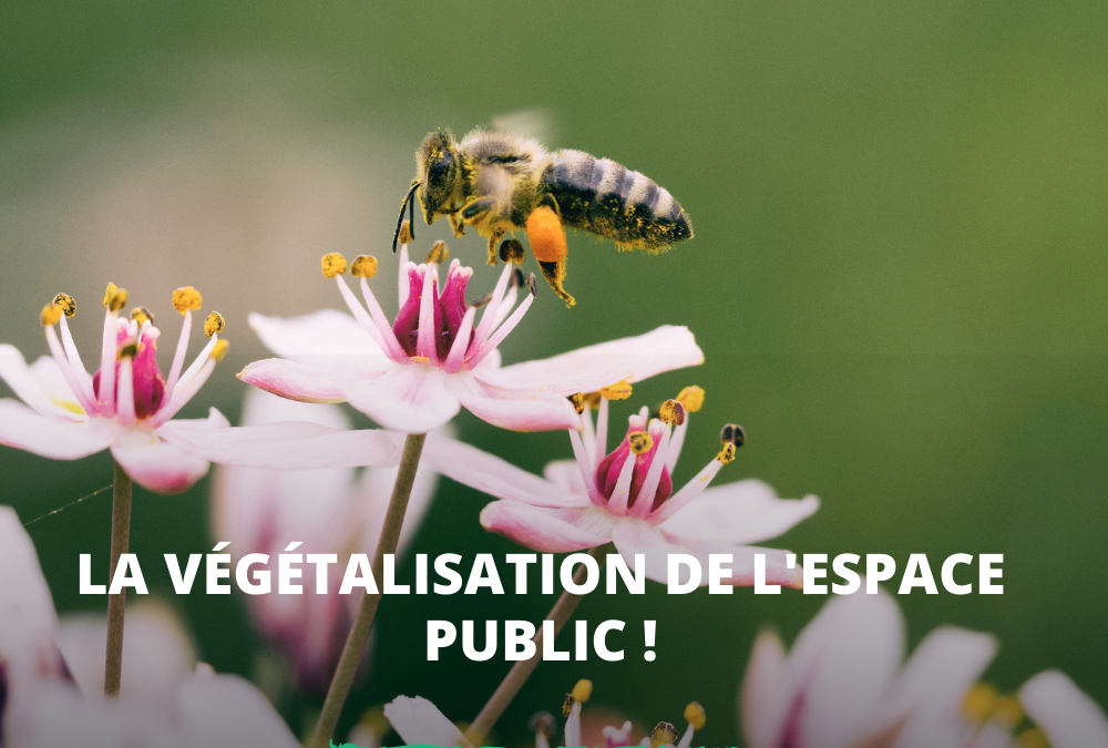La végétalisation de l’espace public !